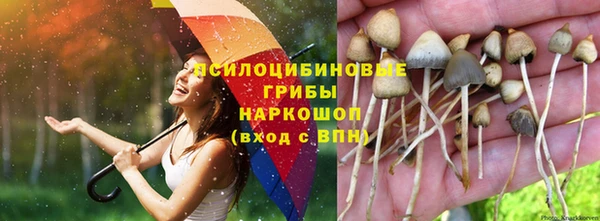 ГАЛЛЮЦИНОГЕННЫЕ ГРИБЫ Балабаново