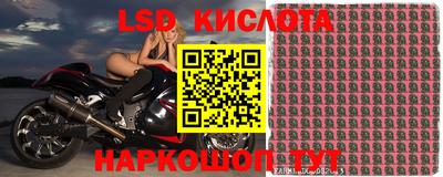 PSILOCYBIN Балаково
