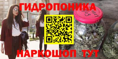 стаф Бузулук