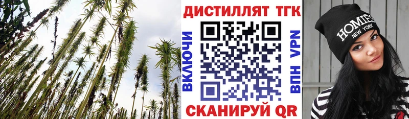 Дистиллят ТГК гашишное масло  Гуково 
