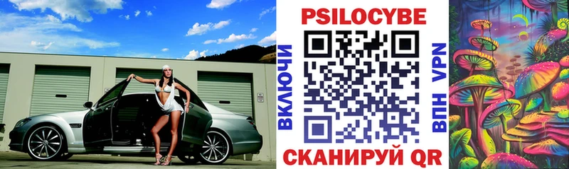 Псилоцибиновые грибы Psilocybine cubensis  Гуково 