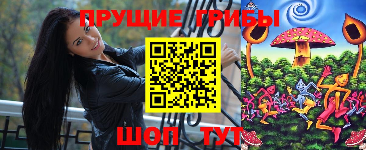 Галлюциногенные грибы Cubensis Гуково