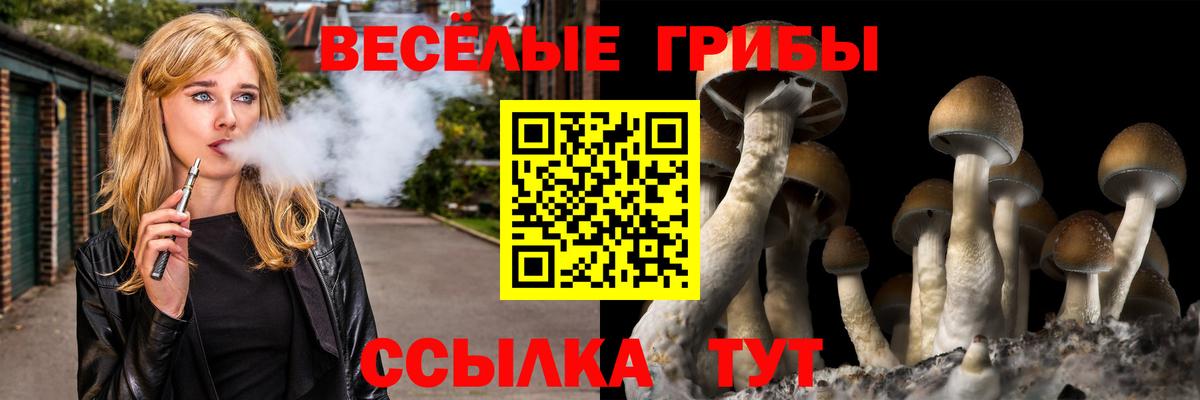 Псилоцибиновые грибы ЛСД  Вход с VPN  Галлюциногенные грибы прущие грибы  Гуково 